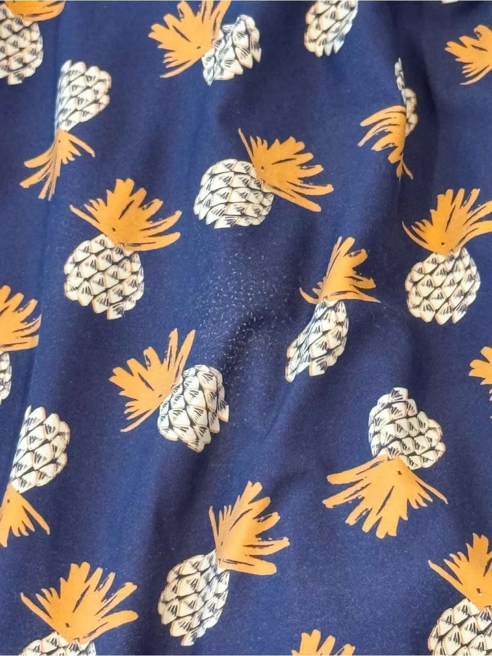 Navy Blue Pineapple Swimzip Full Body Swimsuit Long Sleeve Pants 3T/4T UPF 50
